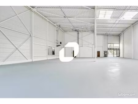 local d'activité 991 m²