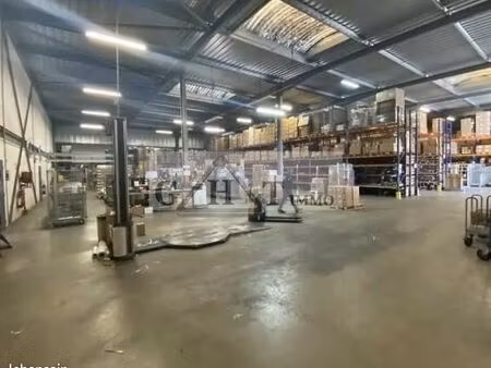 local bureaux 1 635 m²