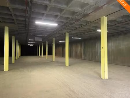 local d'activité 480 m²