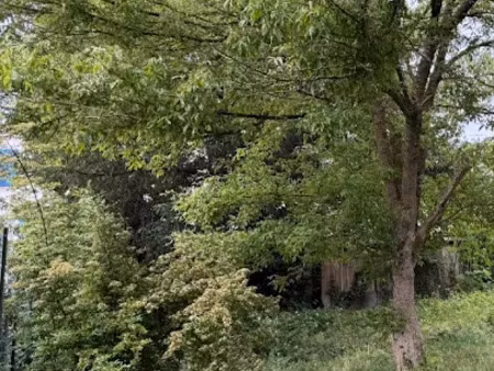 vente terrain 315 m² à epinay-sur-orge (91360)  192 000 €