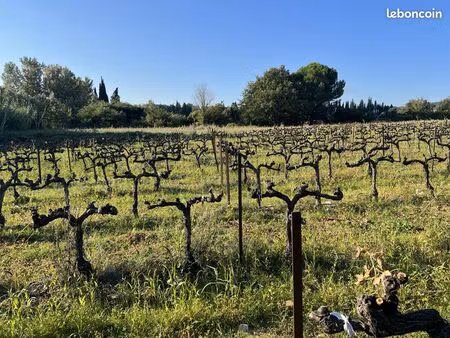 terrain 4832 m² saint-laurent-des-arbres