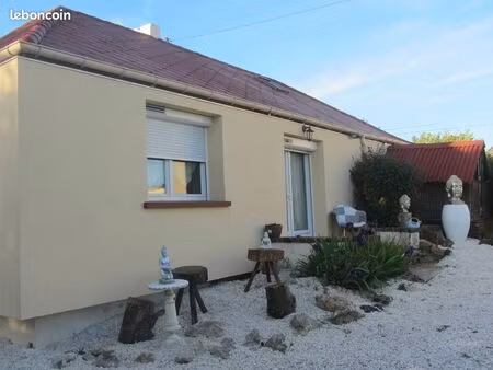 pension pour chats et maison