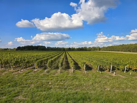 vente terrain 188525 m² à fontguenand (36600)  470 750 €