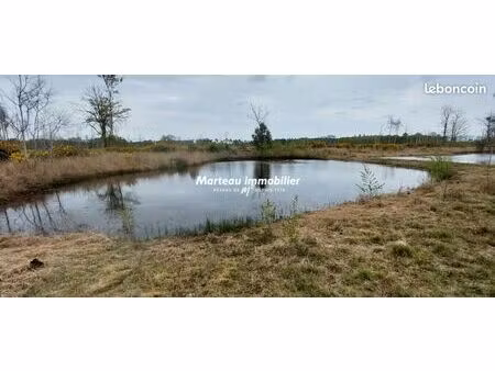 terrain 8200 m² mulsanne