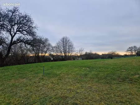 terrain 1947 m² champagne
