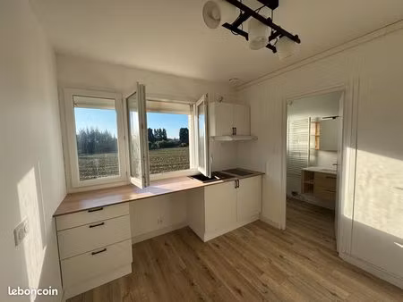 charmant t1 de 17 m² entièrement rénové – lumineux et fonctionnel