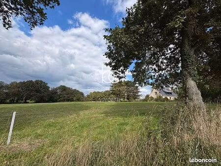 terrain 15 736 m² berric