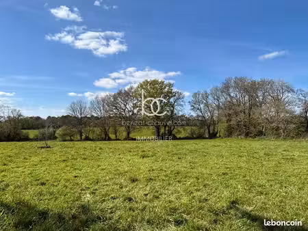 terrain 15 736 m² berric