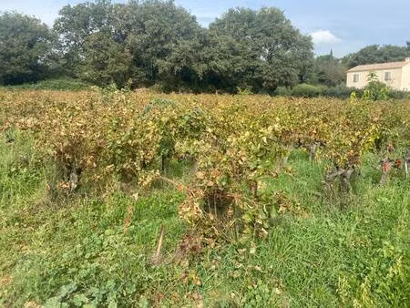 terrain constructible viabilisé à vendre