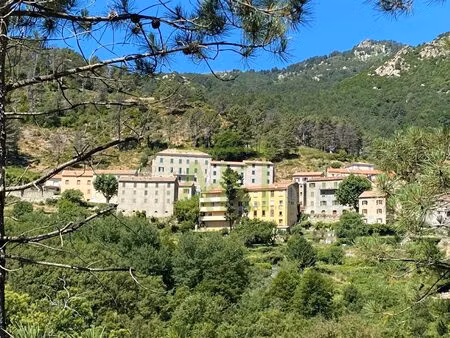 immeuble à vendre ghisoni