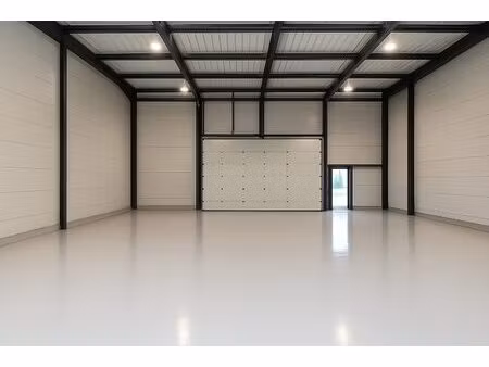 a louer - local d'activite 200m² - st ave