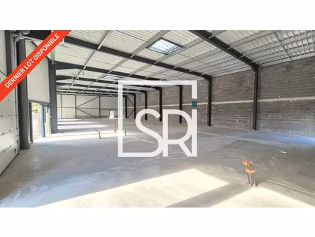 local d'activite a louer