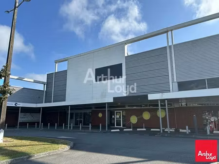 local commercial a louer