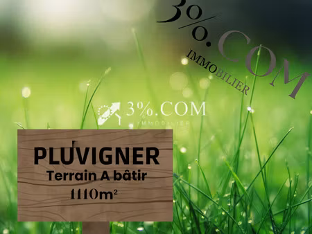 pluvigner  hameau calme
