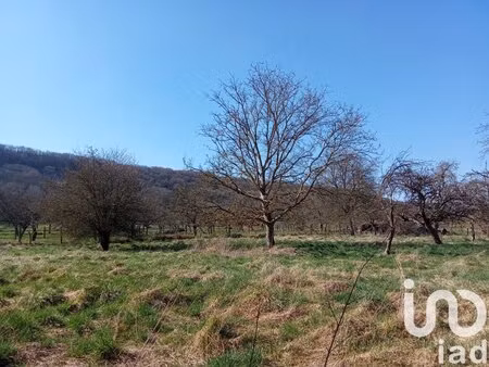 en vente terrain constructible 17 15 ares – 44 000 € |commercy