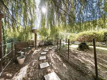 vente maison 7 pièces 195 m² rieux-de-pelleport (09120)