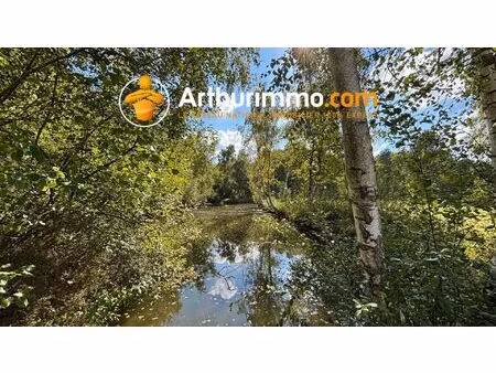 vente maison 3 pièces 77 m2 à sainte-montaine