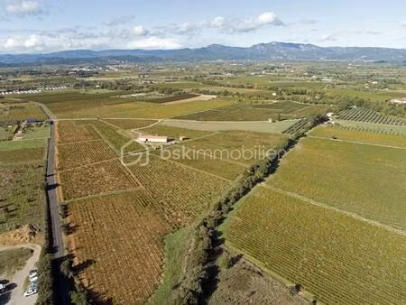 terrain viticole de 87 173 m² à ceyras