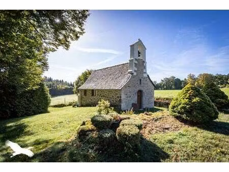 vente maison 8 pièces 221 m² auriac (19220)