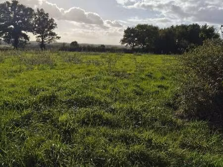 vente terrain à ceaulmont (36200) : à vendre / 4300m² ceaulmont