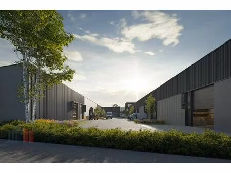 commercieel te koop in anzegem