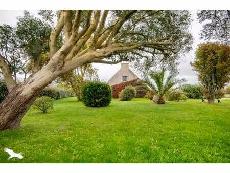 vente maison 5 pièces 90 m² kerlouan (29890)