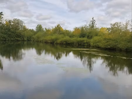 etang sur terrain de 5816 m2