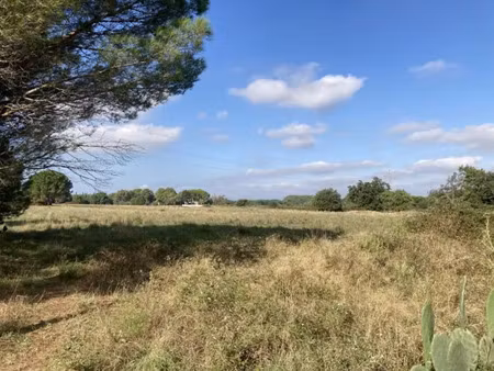 vente terrain 19839m2 palau-del-vidre 66690 - 26000 € - surface privée