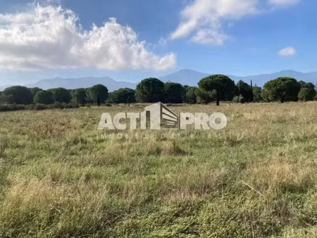 vente terrain 19839 m² palau-del-vidre (66690)