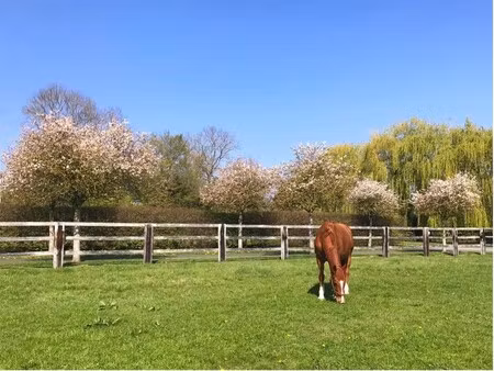 maison de luxe à vendre au le mesnil-mauger