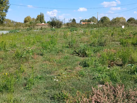 terrain saint jean de monts 601m2