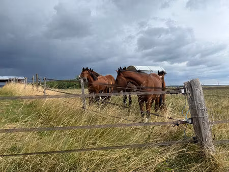 domaine équestre sur plus de 74ha
