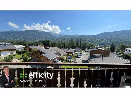 efficity valentin goy