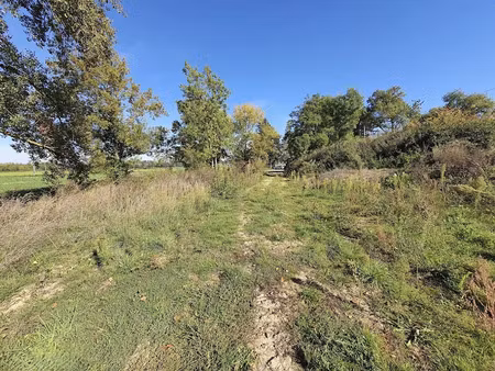 vente terrain 5190 m² à vernou-sur-brenne (37210)  19 900 €