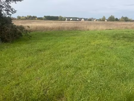 vente terrain 462 m² à mosnes (37530)  36 960 €