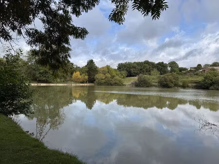 vente terrain 21896 m² chapelle-viviers (86300)