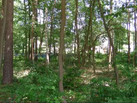 terrain à bâtir rixensart