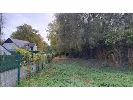 parcelle de terrain (6a 51ca) sis entre numéros 249 et 253