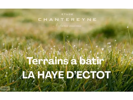 vente terrain à batir 557 m² à la haye-d'ectot (50270)  51 129 €