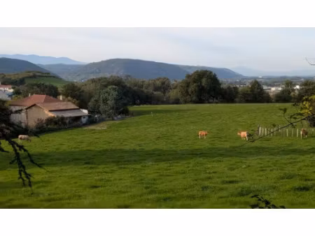 vente terrain 429 m² à laveyron (26240)  60 000 €
