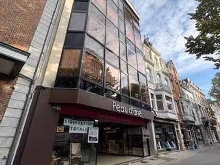 magnifique rez commercial spa-centre