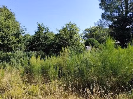 terrain 515 m² vendays montalivet
