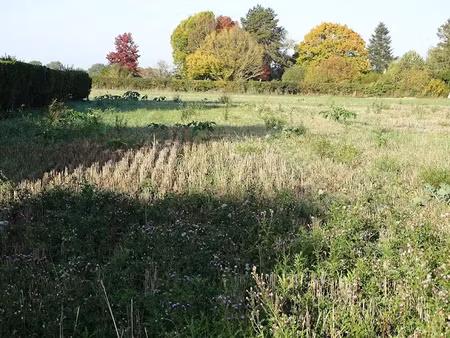 vente terrain 502 m² à mormant (77720)  85 000 €