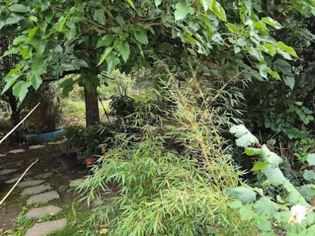 vente terrain 950 m² à rozay-en-brie (77540)  139 000 €