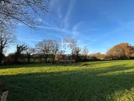 vente terrain 15736 m² à berric (56230)  210 800 €