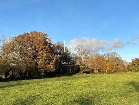 vente terrain 15736 m² à berric (56230)  211 800 €