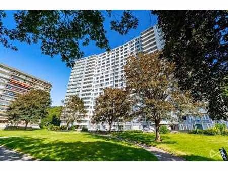 appartement 1 ch - balcon - cave