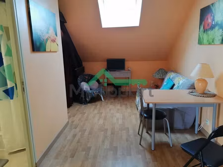 location meublée appartement 1 pièce 31 m² à saint-doulchard (18230)  460 €