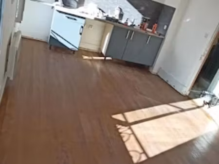 location appartement 2 pièces 45 m² à saint-pierre-le-moûtier (58240)  450 €