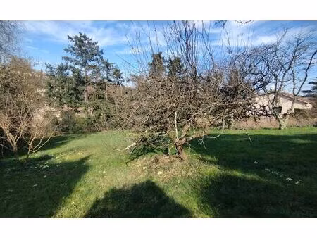 terrain curis-au-mont-d'or m² t- à vendre  250 000 €